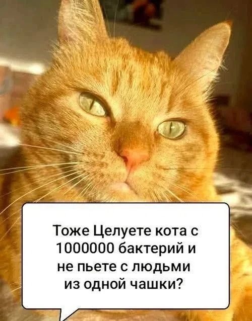 Тоже Целуете кота с 1000000 бактерий и не пьете с людьми из одной чашки?