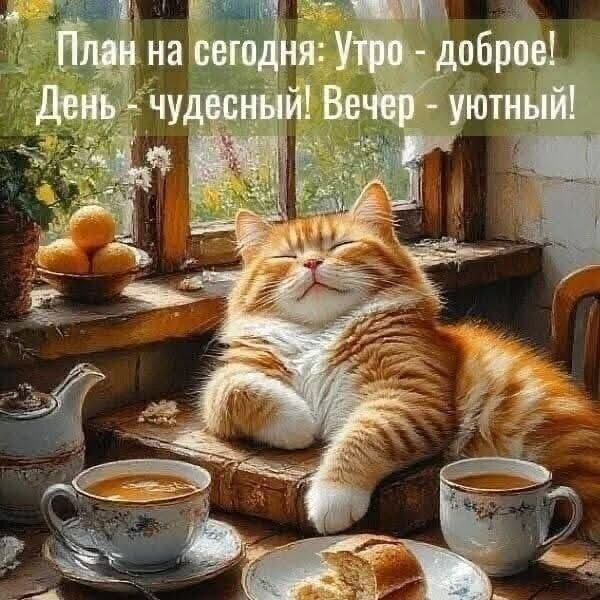 План на сегодня: Утро - доброе! День - чудесный! Вечер - уютный!