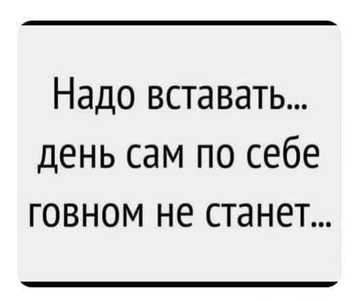 Надо вставать... день сам по себе говном не станет...