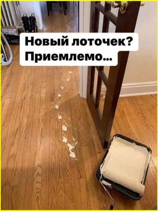 Новый лоточек? Приемлемо...