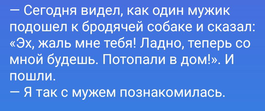 — Сегодня видел, как один мужик подошел к бродячей собаке и сказал: «Эх, жаль мне тебя! Ладно, теперь со мной будешь. Потопали в дом!». И пошли. — Я так с мужем познакомилась.