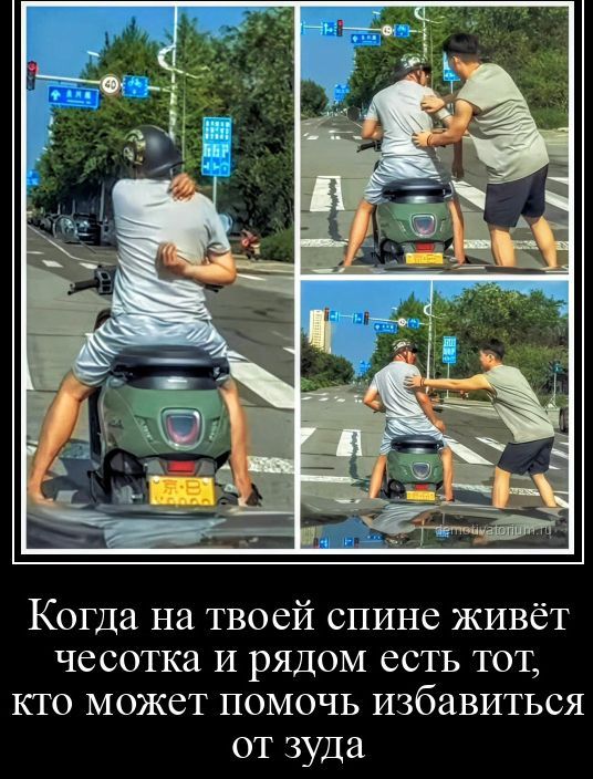 Когда на твоей спине живёт чесотка и рядом есть тот, кто может помочь избавиться от зуда