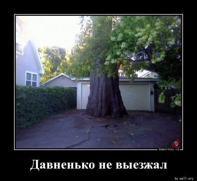 Давненько не выезжал