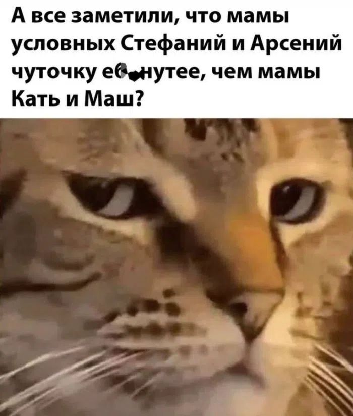 А все заметили, что мамы условных Стефаний и Арсений чуточку еб...нутее, чем мамы Кать и Маш?