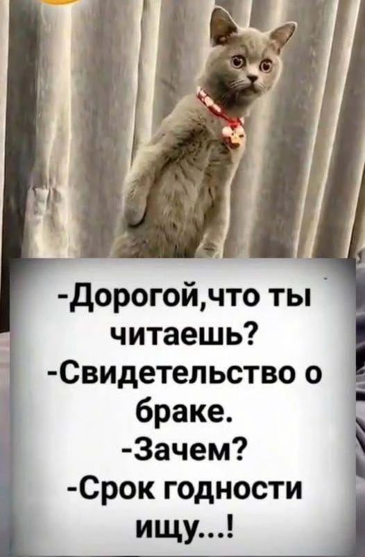 Дорогой, что ты читаешь? Свидетельство о браке. Зачем? Срок годности ищу...!