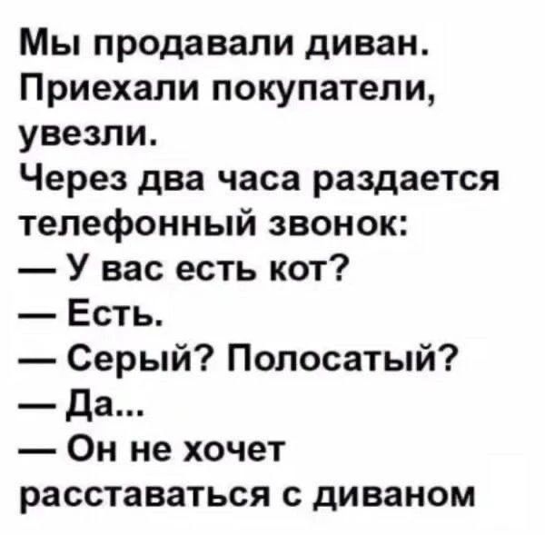 Мы продавали диван. Приехали покупатели, увезли. Через два часа раздается телефонный звонок: — У вас есть кот? — Есть. — Серый? Полосатый? — Да... — Он не хочет расставаться с диваном