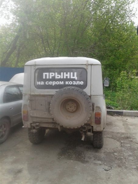 ПРЫНЦ на сером козле