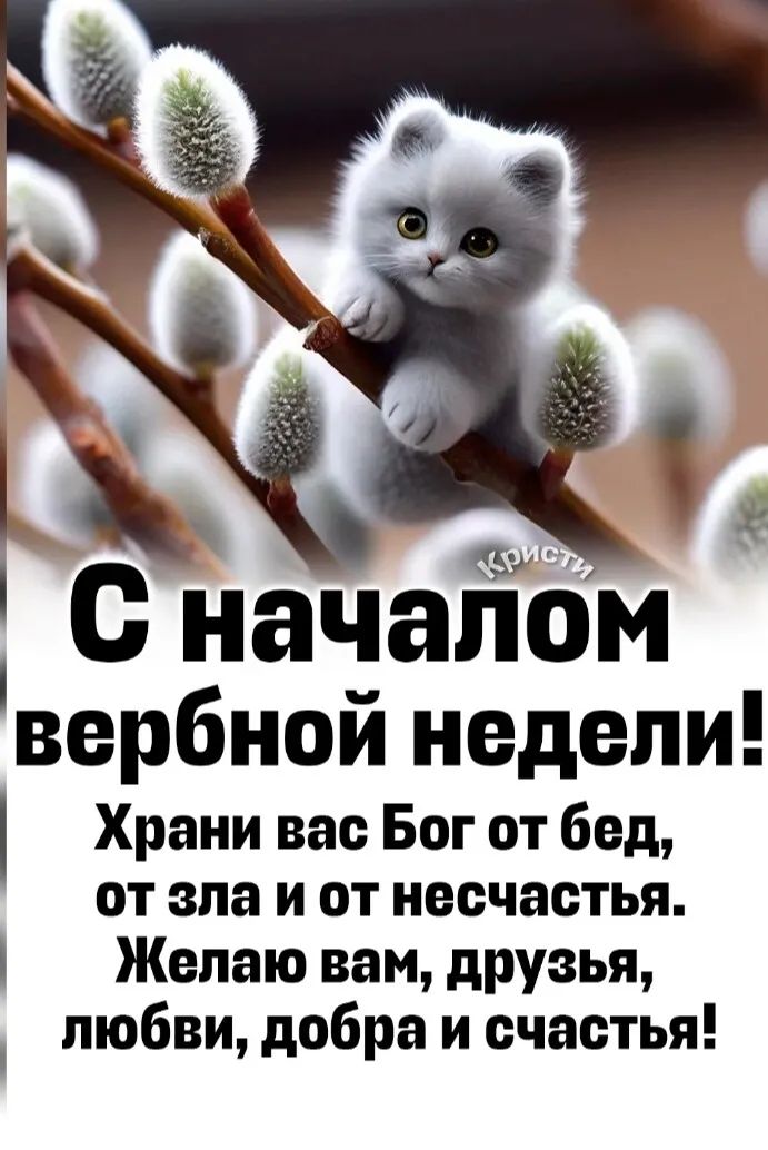 Кристи С началом вербной недели! Храни вас Бог от бед, от зла и от несчастья. Желаю вам, друзья, любви, добра и счастья!