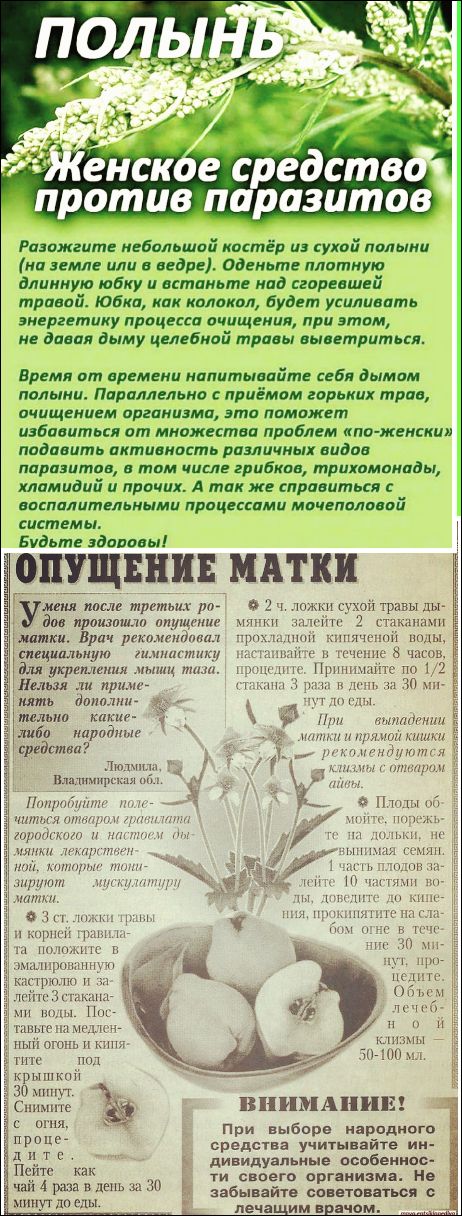 ПОЛЫНЬ
Женское средство против паразитов
Разожгите небольшой костёр из сухой полыни (на земле или в ведре). Оденьте плотную длинную юбку и встаньте над сгоревшей травой. Юбка, как колокол, будет усиливать энергетику процесса очищения, при этом, не давая дыму целебной травы выветриться.
Время от времени напитывайте себя дымом полыни. Параллельно с