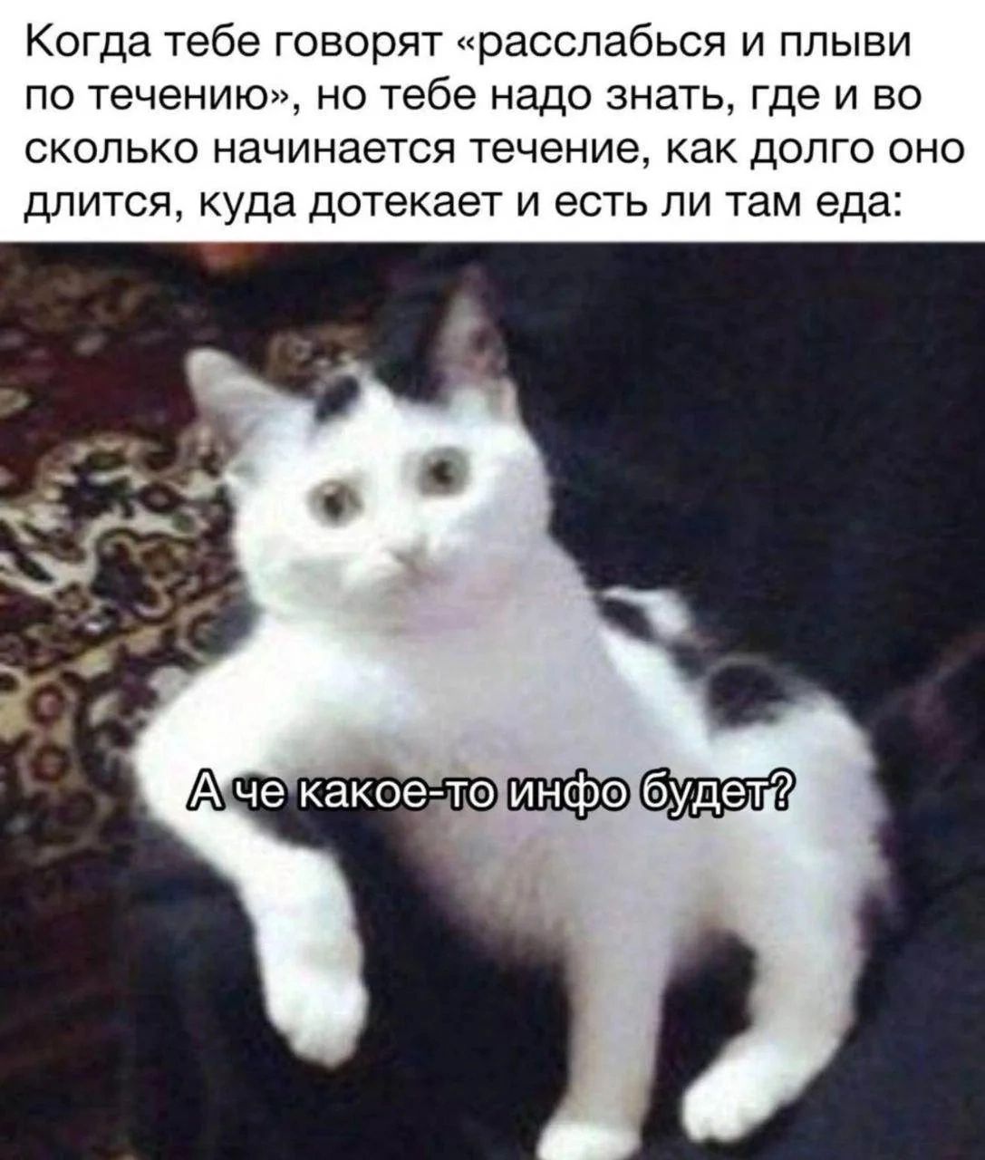 Когда тебе говорят «расслабься и плыви по течению», но тебе надо знать, где и во сколько начинается течение, как долго оно длится, куда дотекает и есть ли там еда: А че какое-то инфо будет?