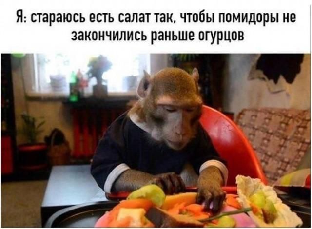 Я: стараюсь есть салат так, чтобы помидоры не закончились раньше огурцов