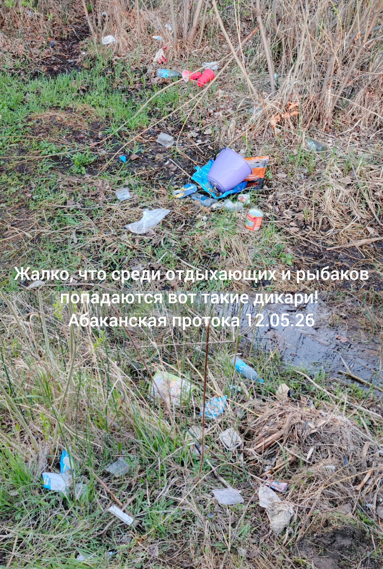 Жалко, что среди отдыхающих и рыбаков попадаются вот такие дикари! Абаканская протока 12.05.26