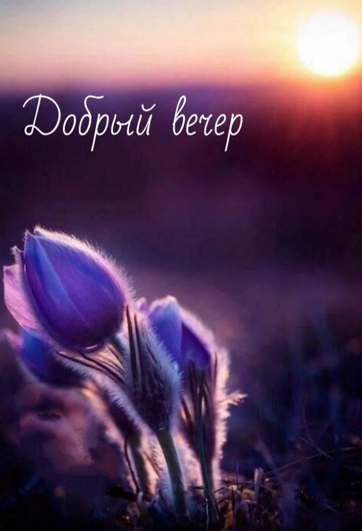 Добрый вечер