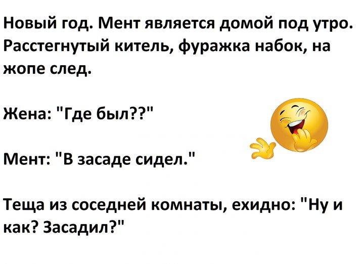 Новый год. Мент является домой под утро. Расстегнутый китель, фуражка набок, на жопе след. Жена: 