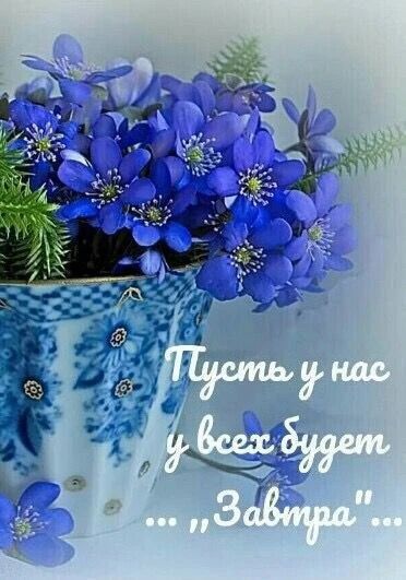 Пусть у нас у всех будет ... ,,Завтра