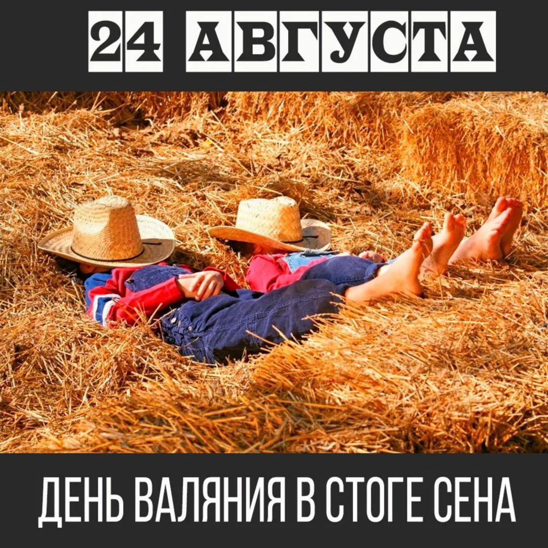 24 августа ДЕНЬ ВАЛЯНИЯ В СТОГЕ СЕНА