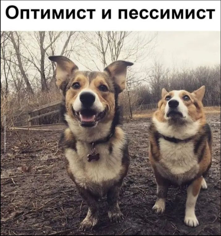 Оптимист и пессимист