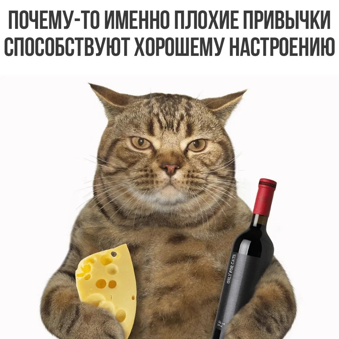 ПОЧЕМУ-ТО ИМЕННО ПЛОХИЕ ПРИВЫЧКИ СПОСОБСТВУЮТ ХОРОШЕМУ НАСТРОЕНИЮ
