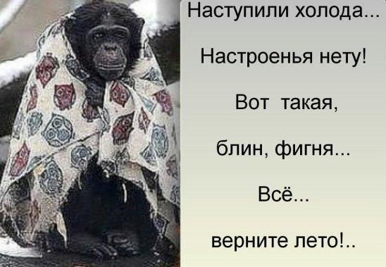 Наступили холода...
Настроенья нету!
Вот такая,
блин, фигня...
Всё...
верните лето!...