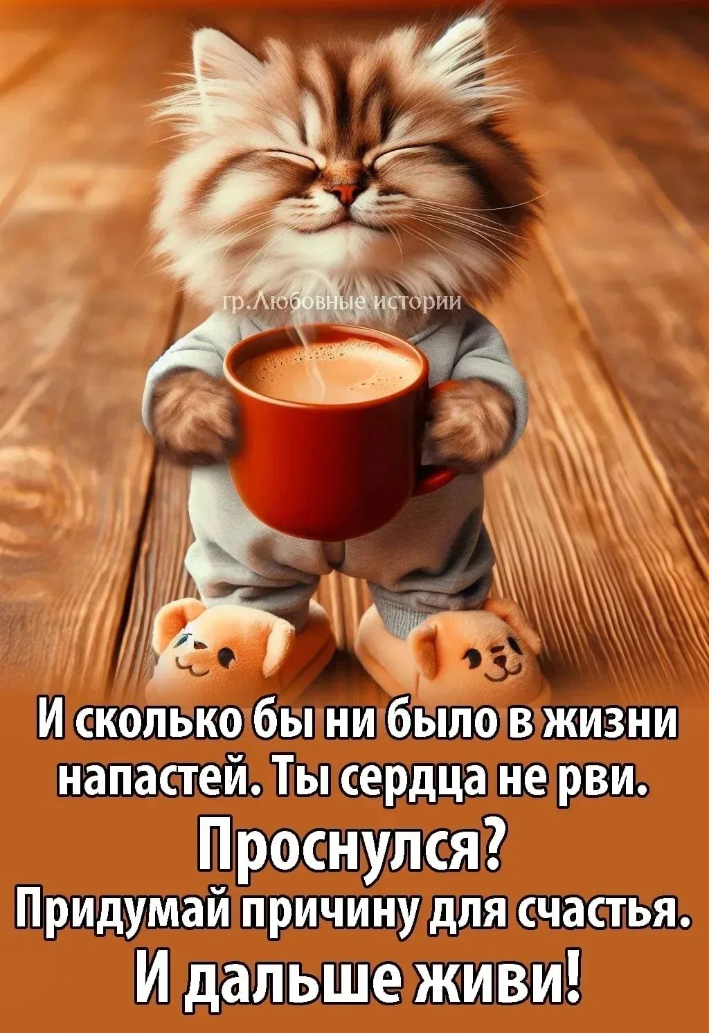 гр. Любовные истории И сколько бы ни было в жизни напастей. Ты сердца не рви. Проснулся? Придумай причину для счастья. И дальше живи!