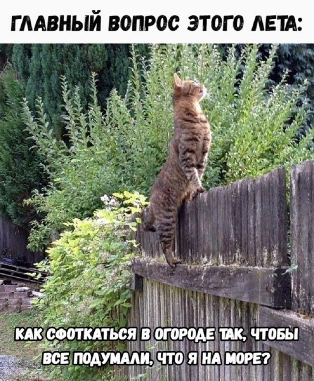 ГЛАВНЫЙ ВОПРОС ЭТОГО ЛЕТА: КАК СФОТКАТЬСЯ В ОГОРОДЕ ТАК, ЧТОБЫ ВСЕ ПОДУМАЛИ, ЧТО Я НА МОРЕ?