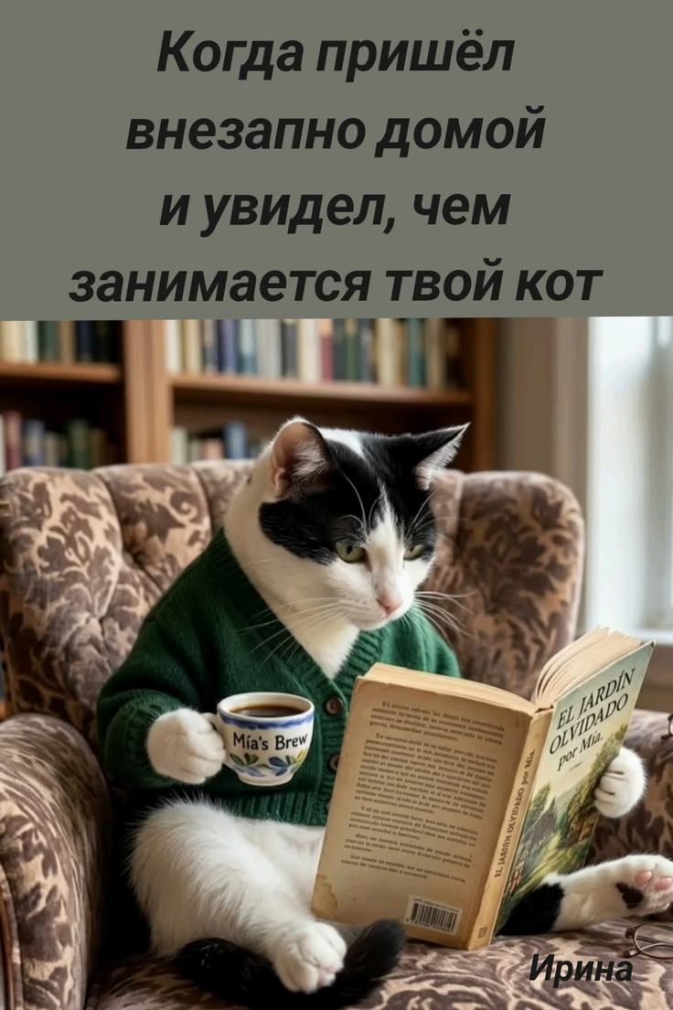 Когда пришёл внезапно домой и увидел, чем занимается твой кот