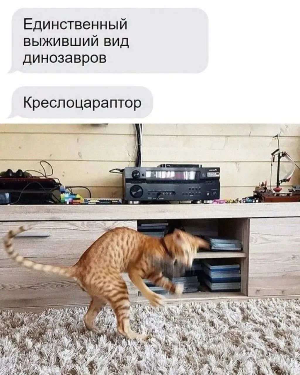 Единственный выживший вид динозавров Креслоцараптор