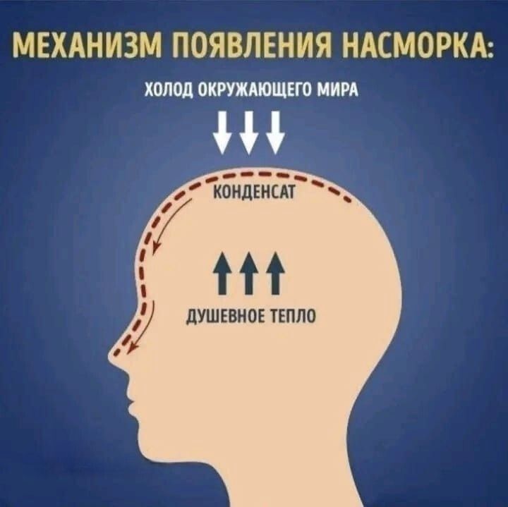 МЕХАНИЗМ ПОЯВЛЕНИЯ НАСМОРКА: ХОЛОД ОКРУЖАЮЩЕГО МИРА КОНДЕНСАТ ДУШЕВНОЕ ТЕПЛО