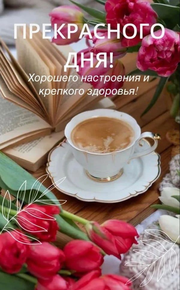ПРЕКРАСНОГО ДНЯ! Хорошего настроения и крепкого здоровья!