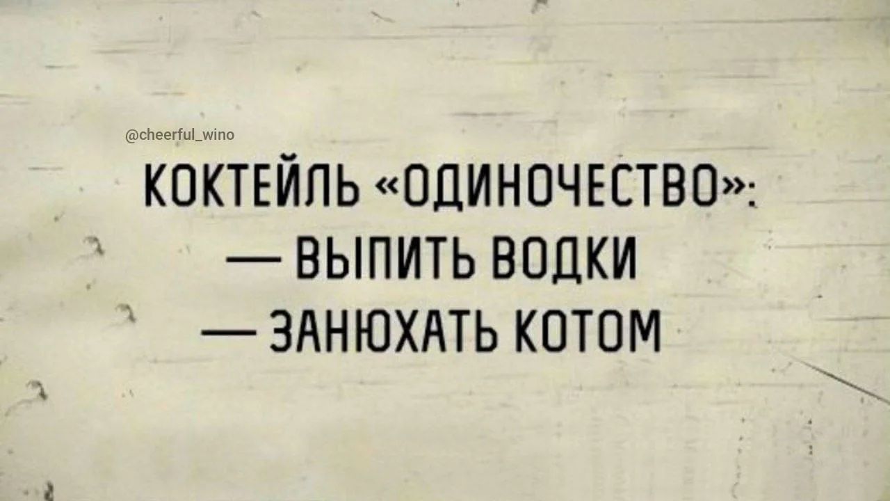 КОКТЕЙЛЬ «ОДИНОЧЕСТВО»: — ВЫПИТЬ ВОДКИ — ЗАНЮХАТЬ КОТОМ