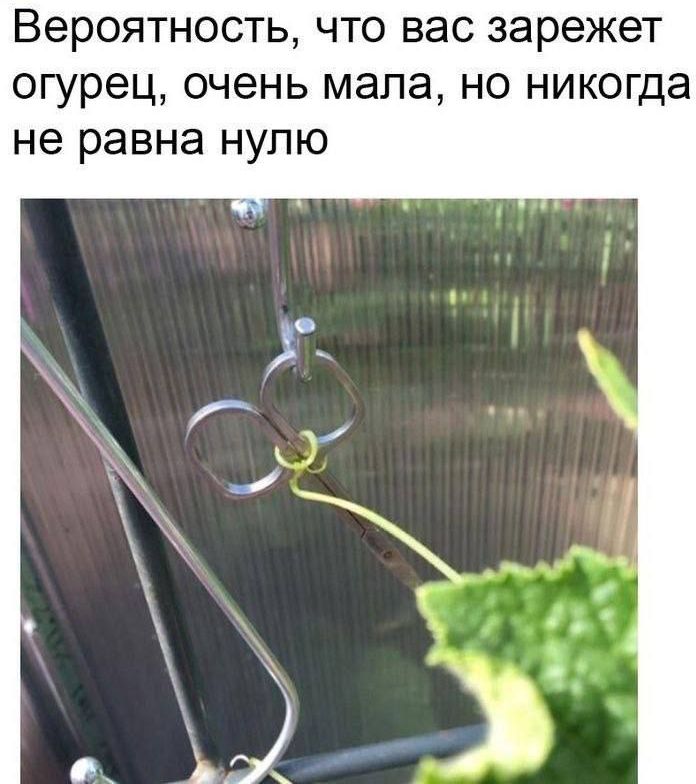 Вероятность, что вас зарежет огурец, очень мала, но никогда не равна нулю
