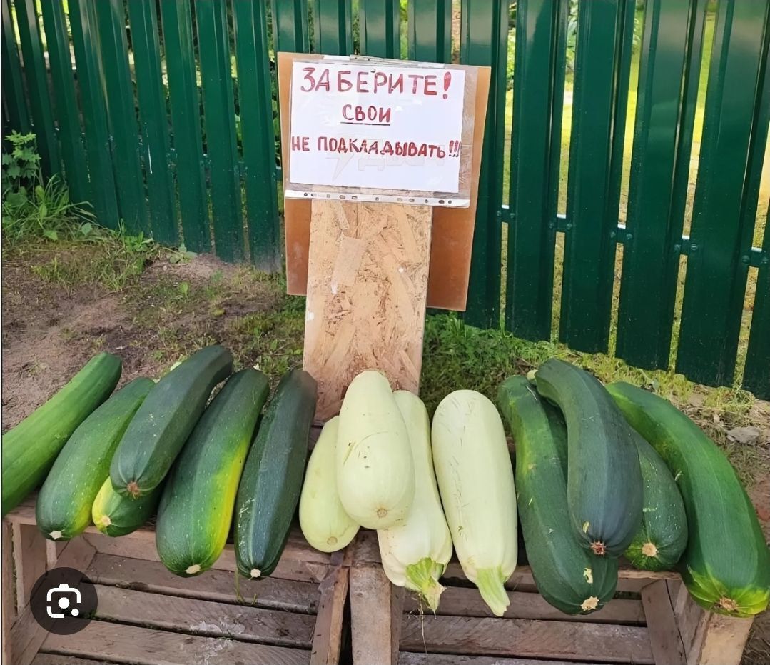 ЗАБЕРИТЕ! СВОИ НЕ ПОДКЛАДЫВАТЬ!!!