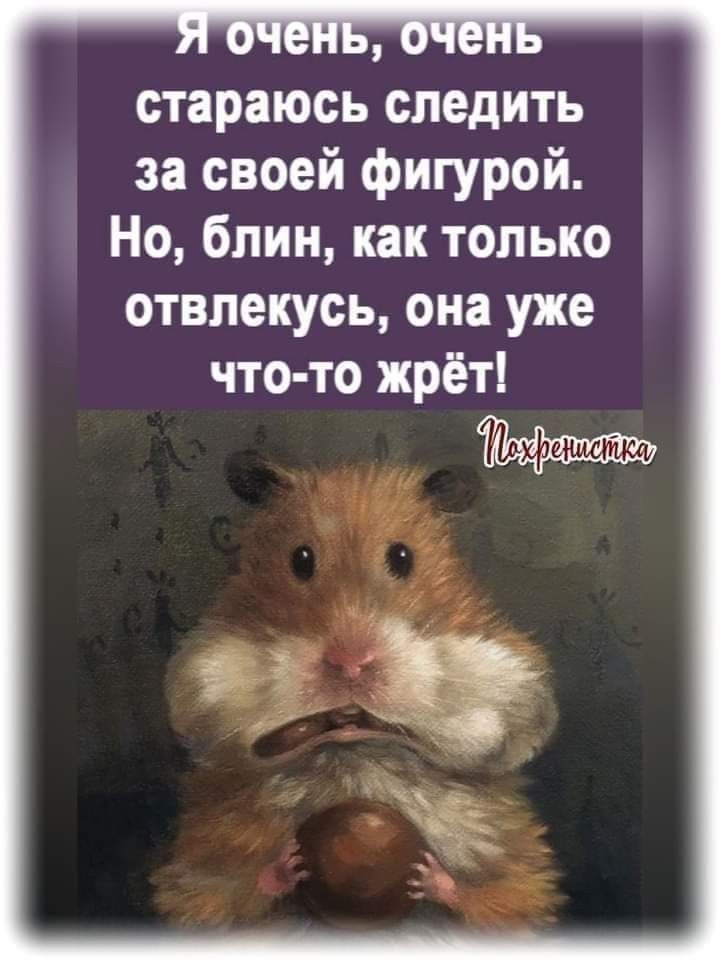 Я очень, очень стараюсь следить за своей фигурой. Но, блин, как только отвлекусь, она уже что-то жрёт! Похренистка