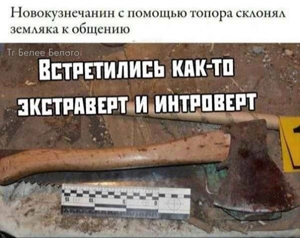 Новокузнечанин с помощью топора склонял земляка к общению. ВСТРЕТИЛИСЬ КАК-ТО ЭКСТРАВЕРТ И ИНТРОВЕРТ.