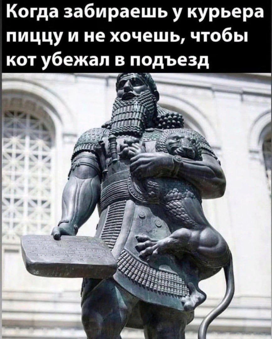 Когда забираешь у курьера пиццу и не хочешь, чтобы кот убежал в подъезд