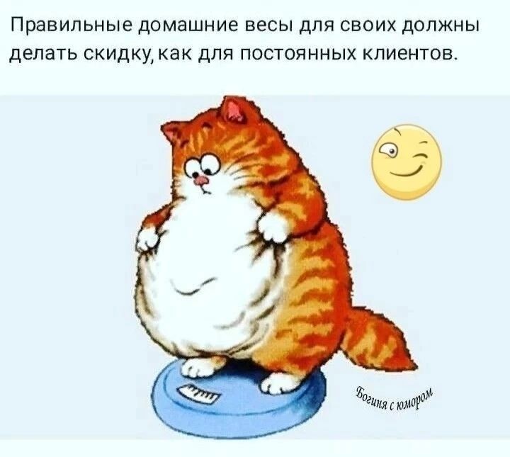 Правильные домашние весы для своих должны делать скидку, как для постоянных клиентов.