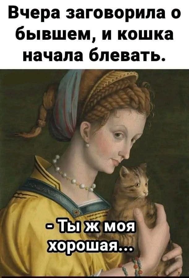 Вчера заговорила о бывшем, и кошка начала блевать. - Ты ж моя хорошая...