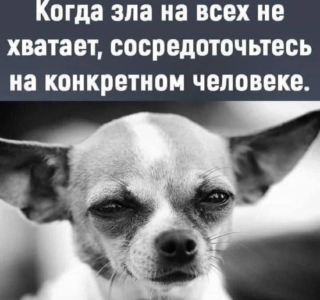 Когда зла на всех не хватает, сосредоточьтесь на конкретном человеке.