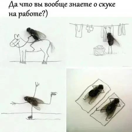 Да что вы вообще знаете о скуке на работе?