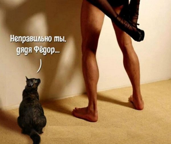 Неправильно ты, дядя Фёдор...