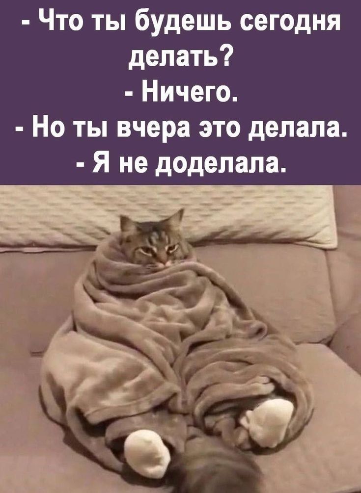Что ты будешь сегодня делать? Ничего. Но ты вчера это делала. Я не доделала.