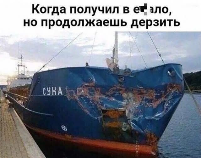 Когда получил в ебало, но продолжаешь дерзить. СУКА.