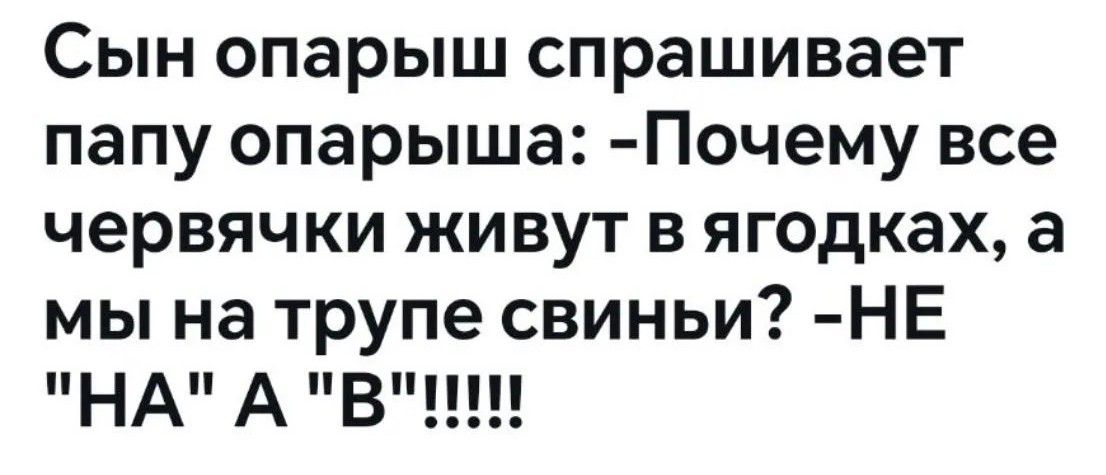 Сын опарыш спрашивает папу опарыша: -Почему все червячки живут в ягодках, а мы на трупе свиньи? -НЕ 