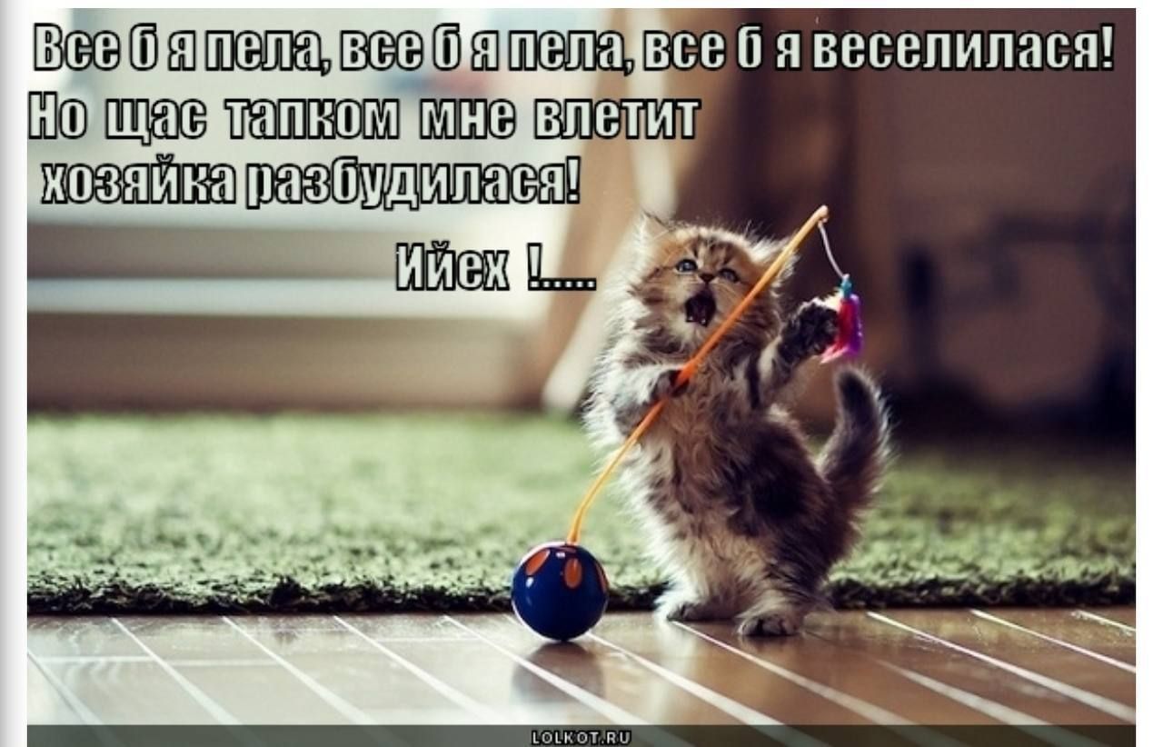 Все б я пела, все б я пела, все б я веселилася! Но щас тапком мне влетит хозяйка разбудилася! Ийех !.....