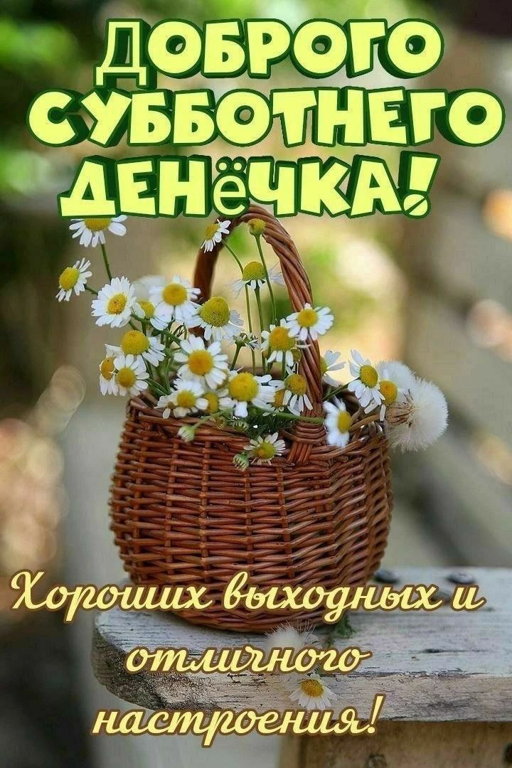 ДОБРОГО СУББОТНЕГО ДЕНЁЧКА! Хороших выходных и отличного настроения!