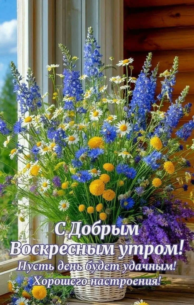 С Добрым Воскресным утром! Пусть день будет удачным! Хорошего настроения!