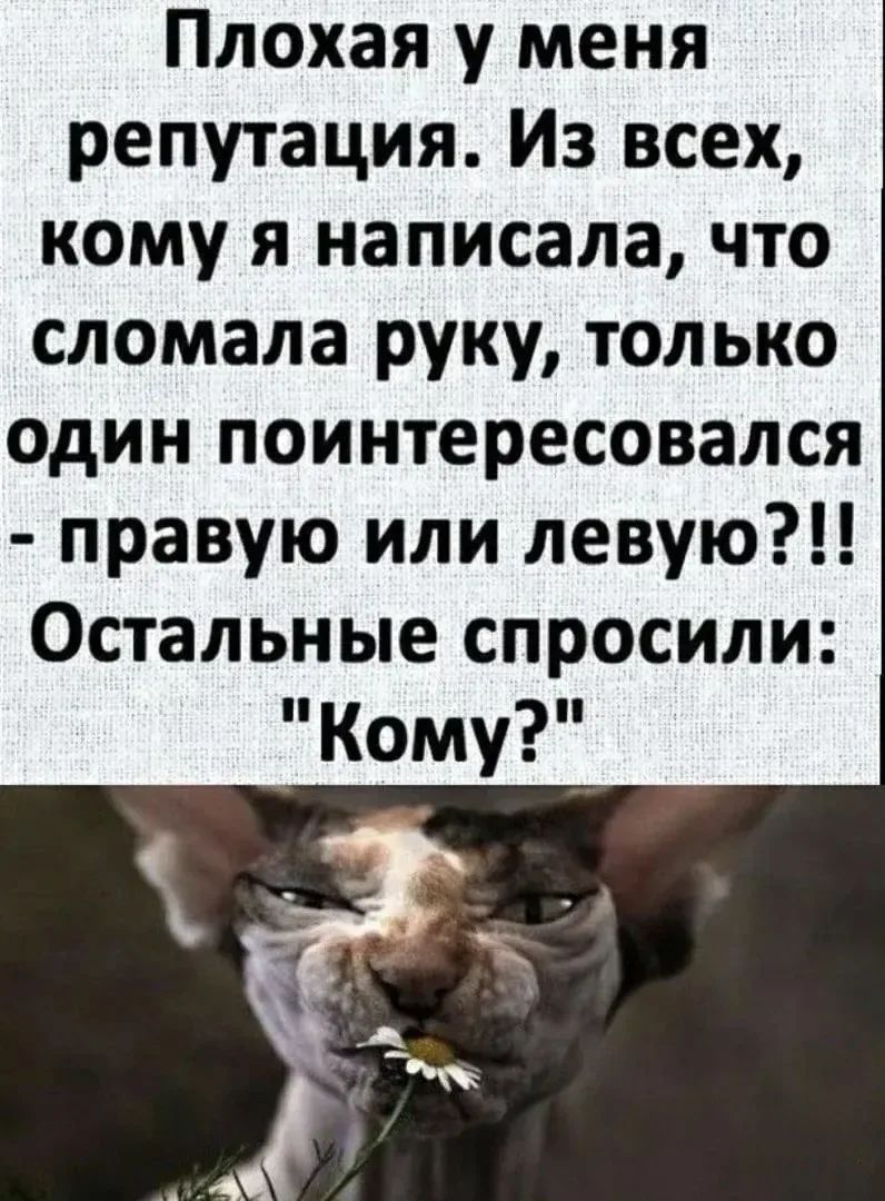 Плохая у меня репутация. Из всех, кому я написала, что сломала руку, только один поинтересовался - правую или левую?!! Остальные спросили: 