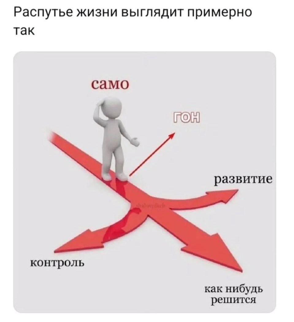 Распутье жизни выглядит примерно так само гон развитие контроль как нибудь решится