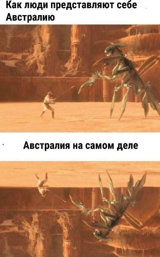 Как люди представляют себе Австралию. Австралия на самом деле.
