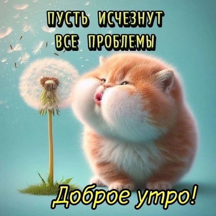 ПУСТЬ ИСЧЕЗНУТ ВСЕ ПРОБЛЕМЫ Доброе утро!